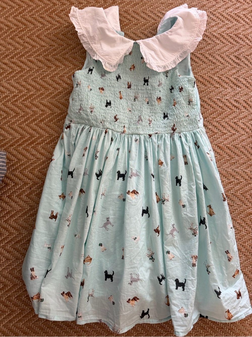 Girls Janie and jack dog dress size 8